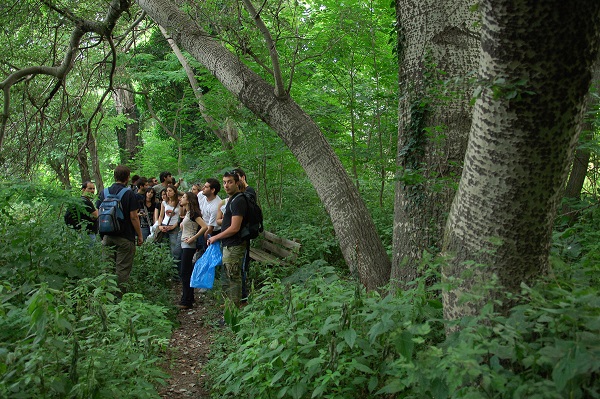 Forest Field Trip Forest Field Trip